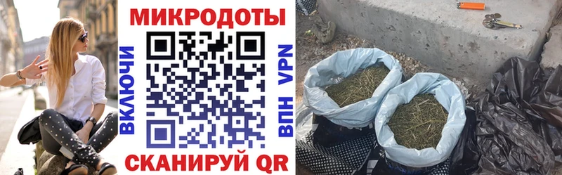 сколько стоит  это наркотические препараты  Псилоцибиновые грибы Psilocybe  Тайга 